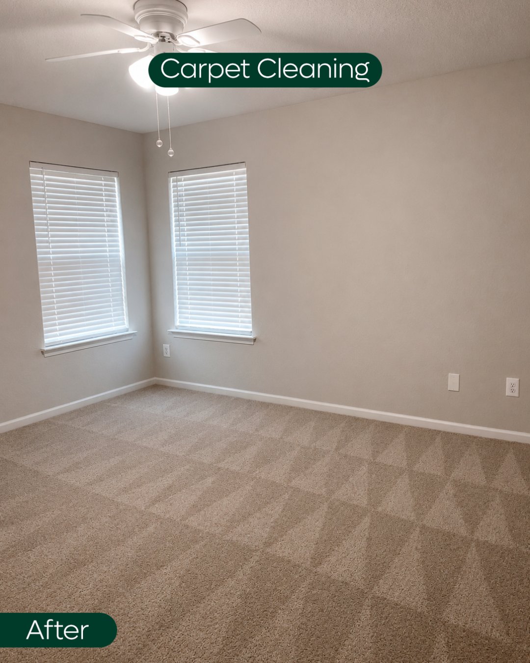 Bedroom carpet restored after deep extraction